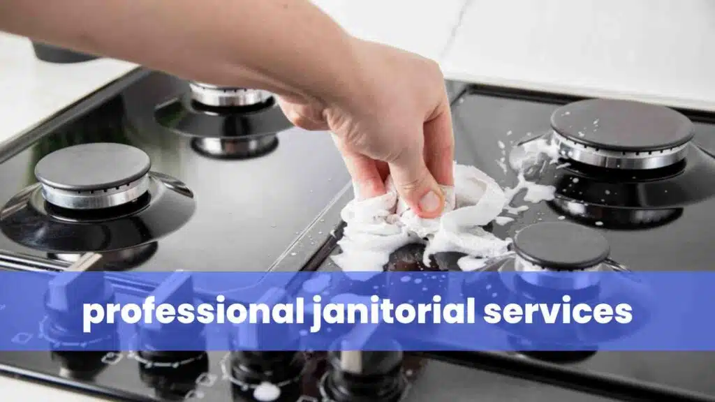 professional janitorial services